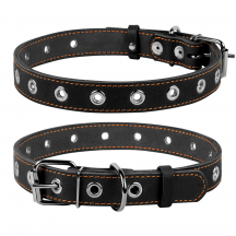 Collar Ошейник для собак, безразмерный, черный, 25мм/60см 