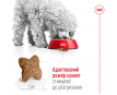 Royal Canin Mini Adult Сухий корм для собак дрібних порід, 2 кг