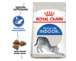 Royal Canin Indoor Сухий корм для котів, що живуть в приміщенні, 400 г
