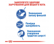 Royal Canin Indoor Сухий корм для котів, що живуть в приміщенні, 400 г