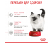 Royal Canin Kitten Сухой корм для котят, 400 г (птица)