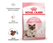 Royal Canin Mother & Babycat Сухий корм для кошенят віком від 1 до 4 місяців і киць під час вагітності, 400 г