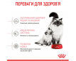 Royal Canin Mother & Babycat Сухий корм для кошенят віком від 1 до 4 місяців і киць під час вагітності, 400 г