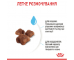 Royal Canin Mother & Babycat Сухий корм для кошенят віком від 1 до 4 місяців і киць під час вагітності, 400 г