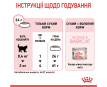 Royal Canin Mother & Babycat Сухий корм для кошенят віком від 1 до 4 місяців і киць під час вагітності, 400 г