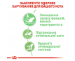 Royal Canin Digestive Care Вологий корм для котів з чутливим травленням, 85 г