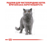 Royal Canin British Shorthair Adult Сухий корм для котів породи британська короткошерста, 2 кг