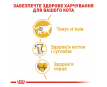 Royal Canin British Shorthair Adult Сухий корм для котів породи британська короткошерста, 2 кг