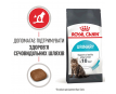 Royal Canin Urinary Care Сухий корм для котів, 2 кг