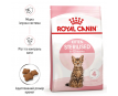 Royal Canin Kitten Sterilised Сухий корм для стерилізованих кошенят, 400 г