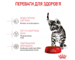 Royal Canin Kitten Sterilised Сухий корм для стерилізованих кошенят, 400 г