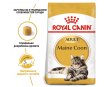 Royal Canin Mainecoon Сухий корм для котів породи мейн-кун, 2 кг