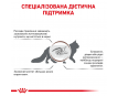 Сухий корм для дорослих котів Royal Canin Gastro Intestinal Cat 2 кг