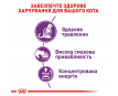 Royal Canin Sensible 33 Сухий корм для котів з чутливою системою травлення, 2 кг