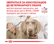 Royal Canin Renal Сухий корм для собак при захворюваннях нирок, 2 кг