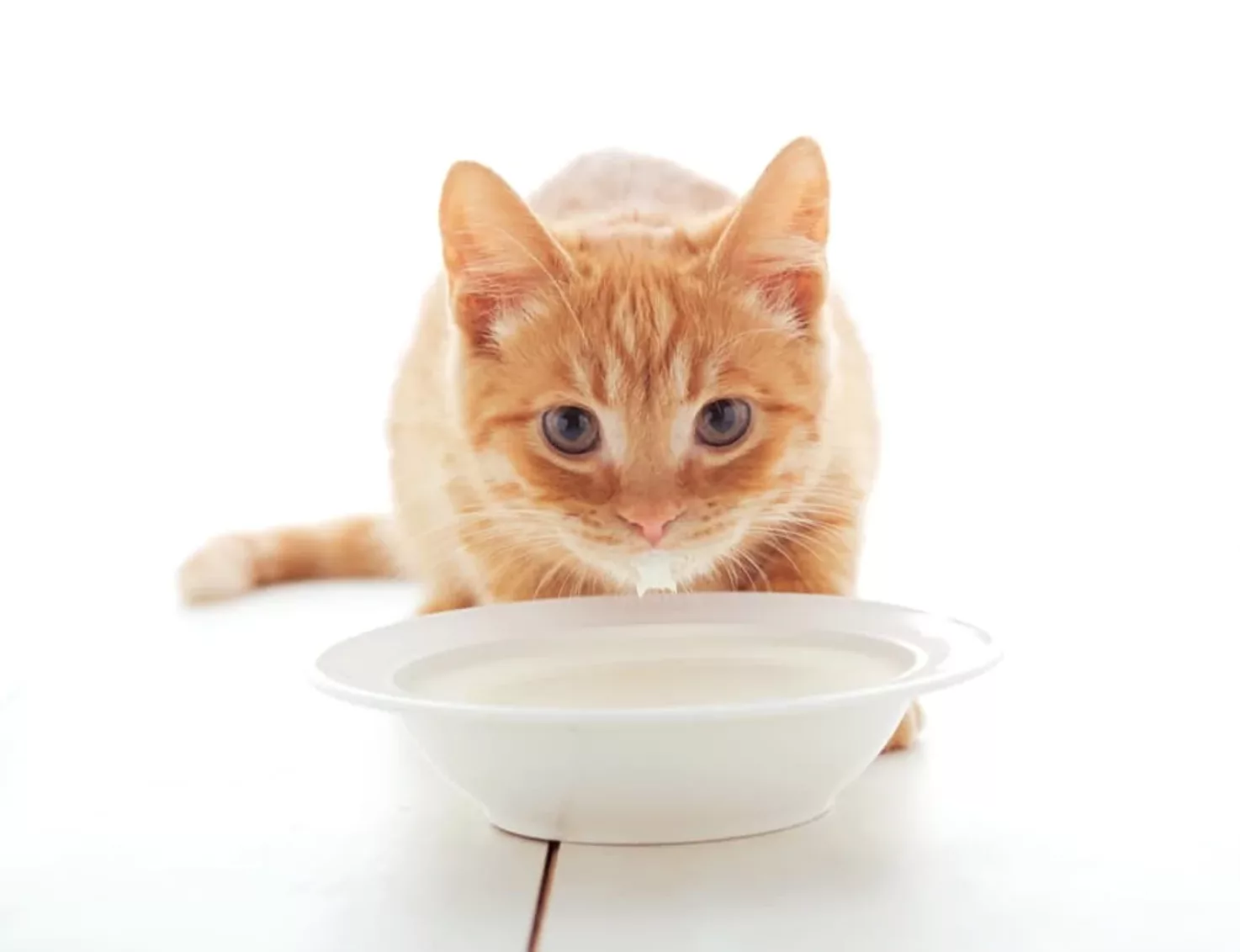 7rwhqx 2196058c4753301e8d0d38d69854e6bf