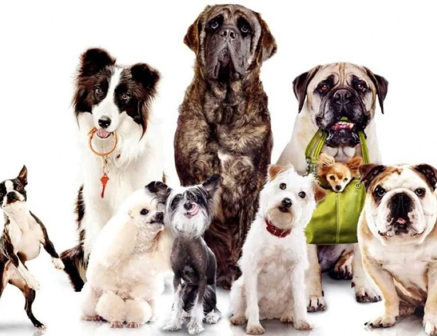 Azis71mQlWklUCtMtkHGcRkemaZ8Wt metacGlqdTEuanBn