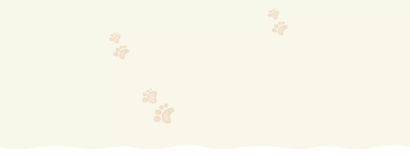 Banner home background