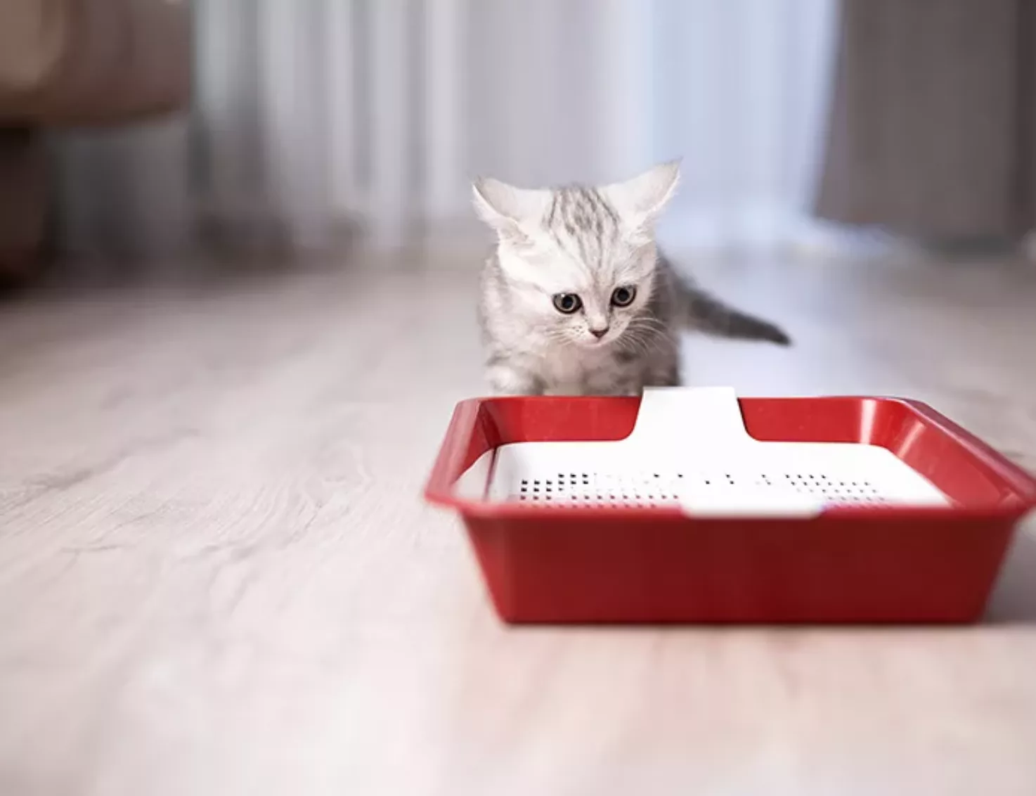 shutterstock 2157397415