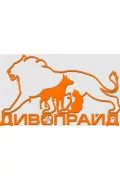 Дивопрайд
