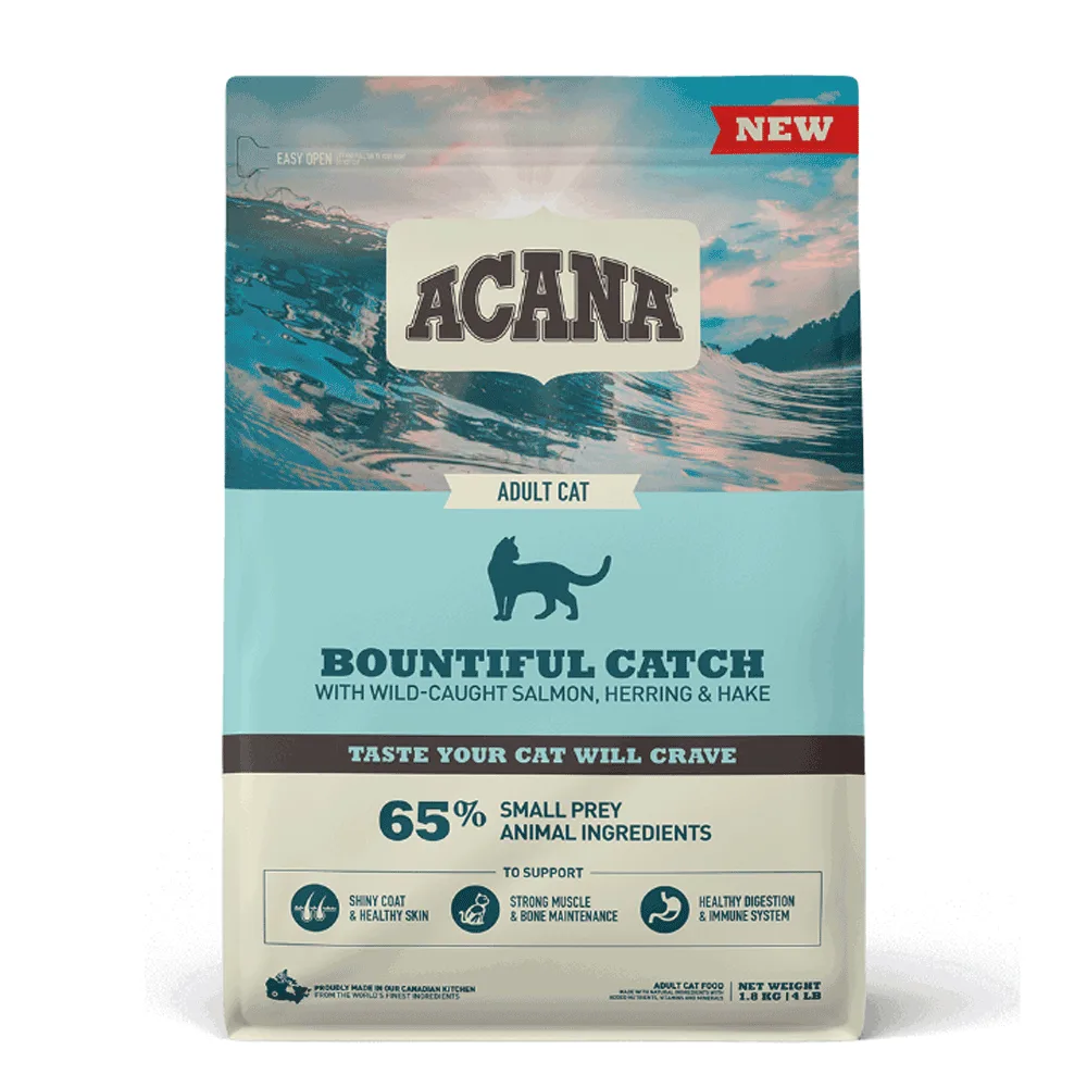 odoo product 1433 1770119361