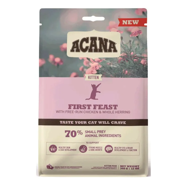 odoo product 1435 1770119365