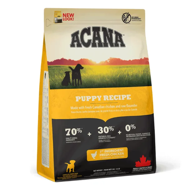 odoo product 1442 1770119378