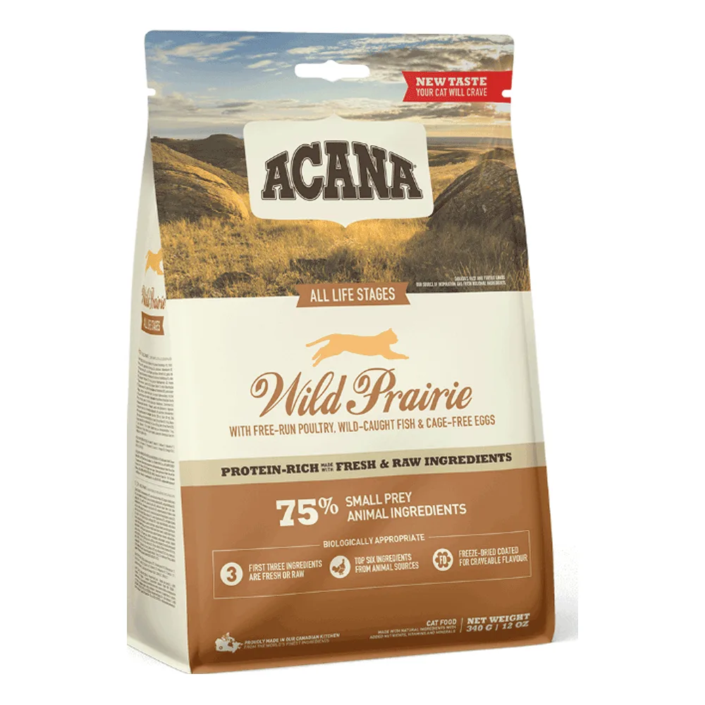 odoo product 1445 1770119383