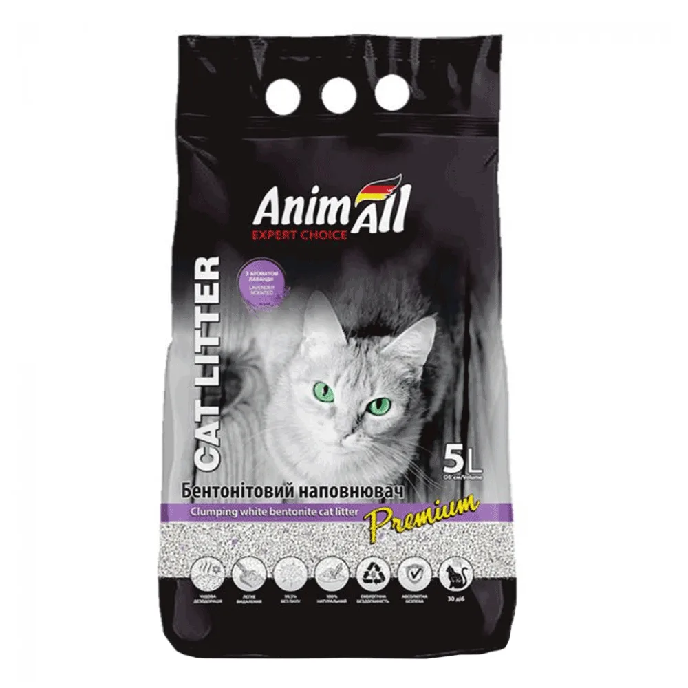 odoo product 1855 1770119562