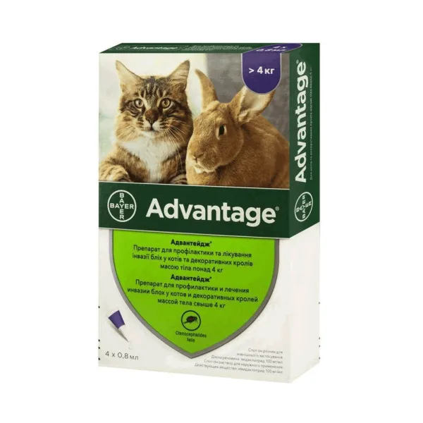 odoo product 2641 1770120449