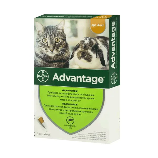 odoo product 2645 1770120452