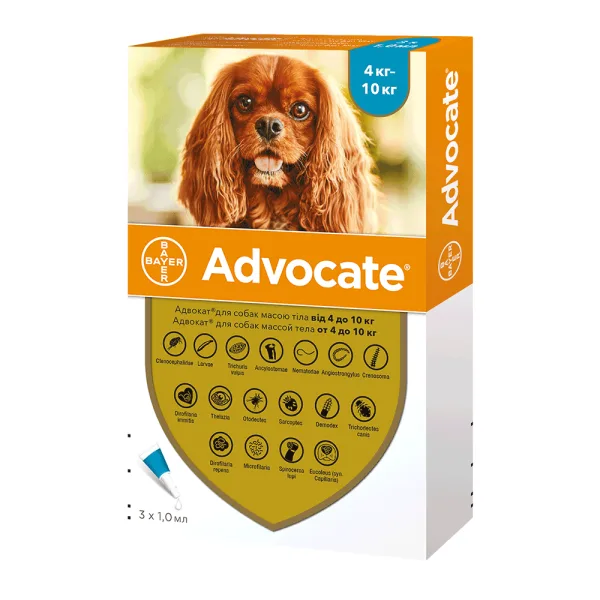 odoo product 2667 1770120470