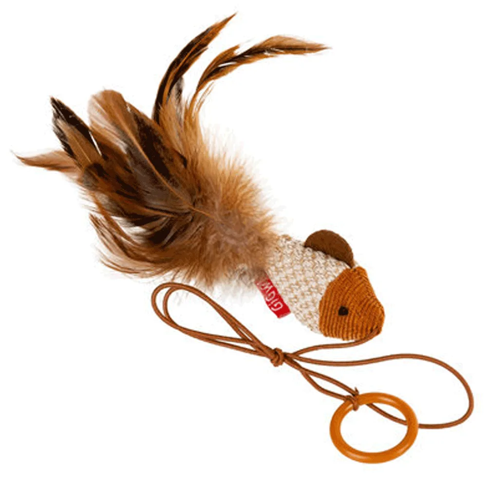 odoo product 2893 1770120728