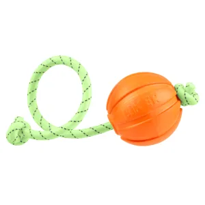 Liker Lumi 9 М'ячик на шнурі для собак