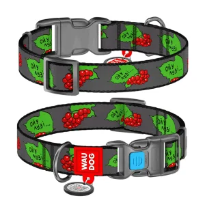 Collar WAUDOG Nylon Нашийник з QR-паспортом Калина для собак, пластиковий фастекс, L 25 мм, 33-49 см
