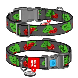 Collar WAUDOG Nylon Нашийник з QR-паспортом Калина для собак, пластиковий фастекс, M 28-40 см/20 мм