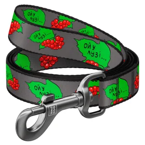 Collar WAUDOG Nylon Повідець нейлоновий Калина L-ХХL 122 cм/25 мм