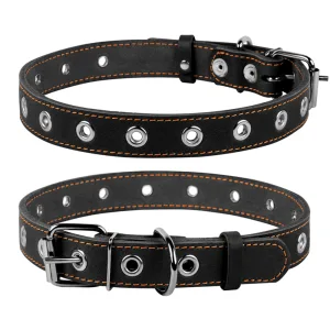 Collar Нашийник для собак, безрозмірний, чорний, 35мм/69см