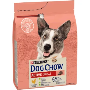 Dog Chow Active Adult 1+ Сухой корм для взрослых собак с повышенной активностью, с курицей, 2,5 кг