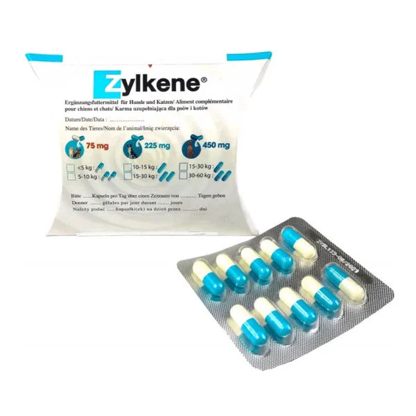 odoo product 15293 1771511290