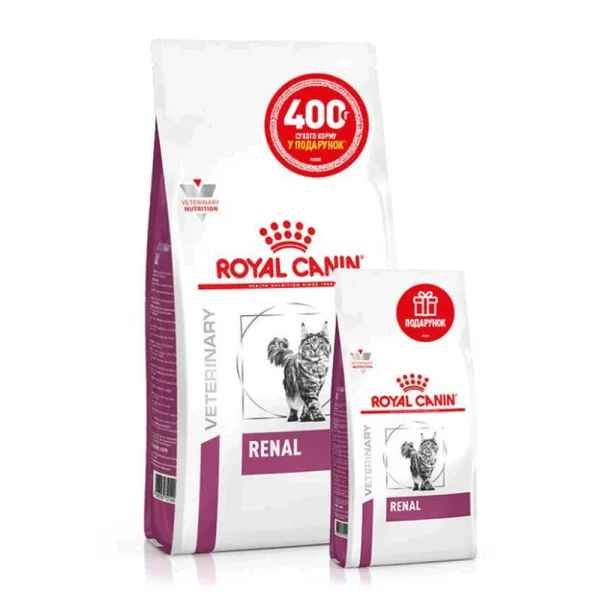 odoo product 16629 1776467985