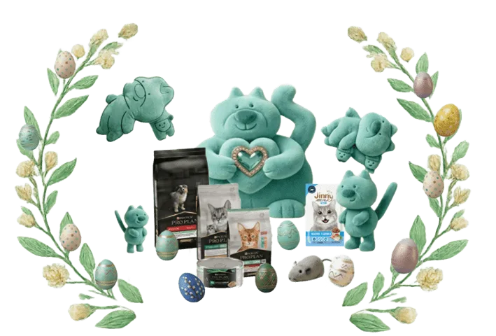 Конмпозиція (1)