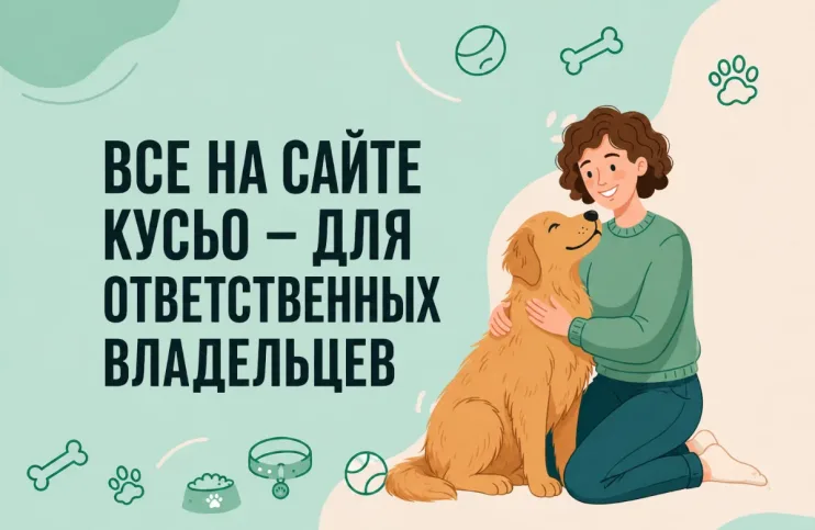 новий банер 4,0