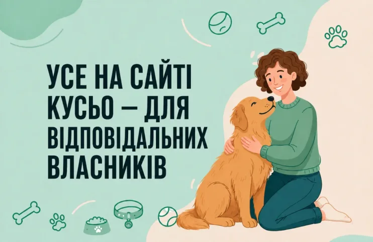 новий банер 5,0