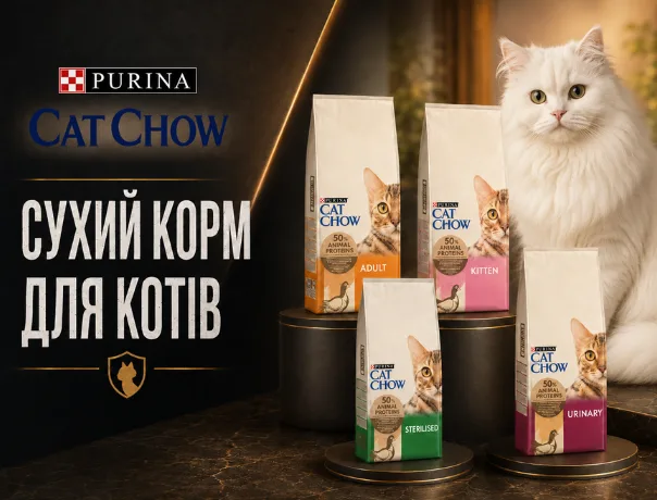 кет чау