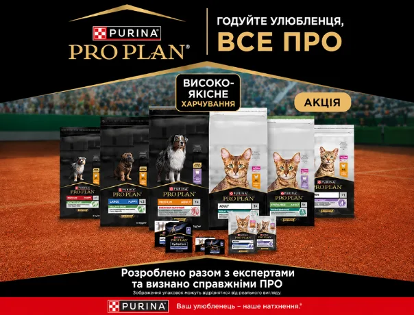 нові 604 на 460 рос мова 4